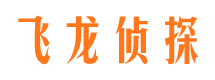 南海市调查公司